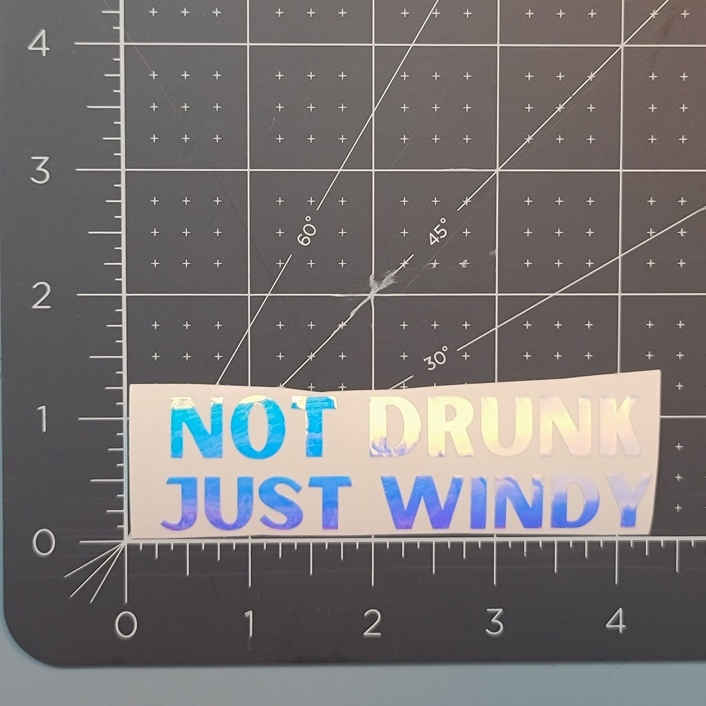 Not Drunk, Just Windy Decal for JPs, 4x4s, Trucks, or Cars