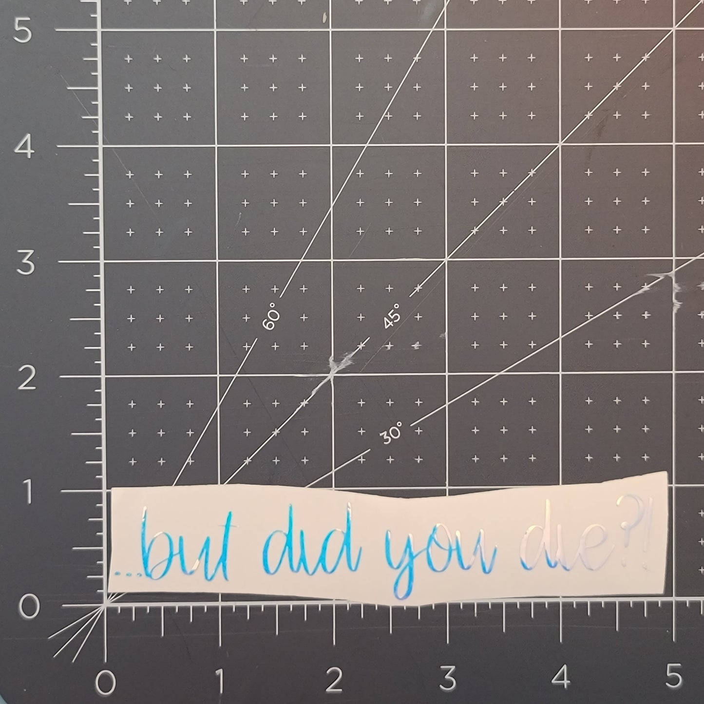 But Did You Die Decal for JPs, 4x4s, Trucks, or Cars