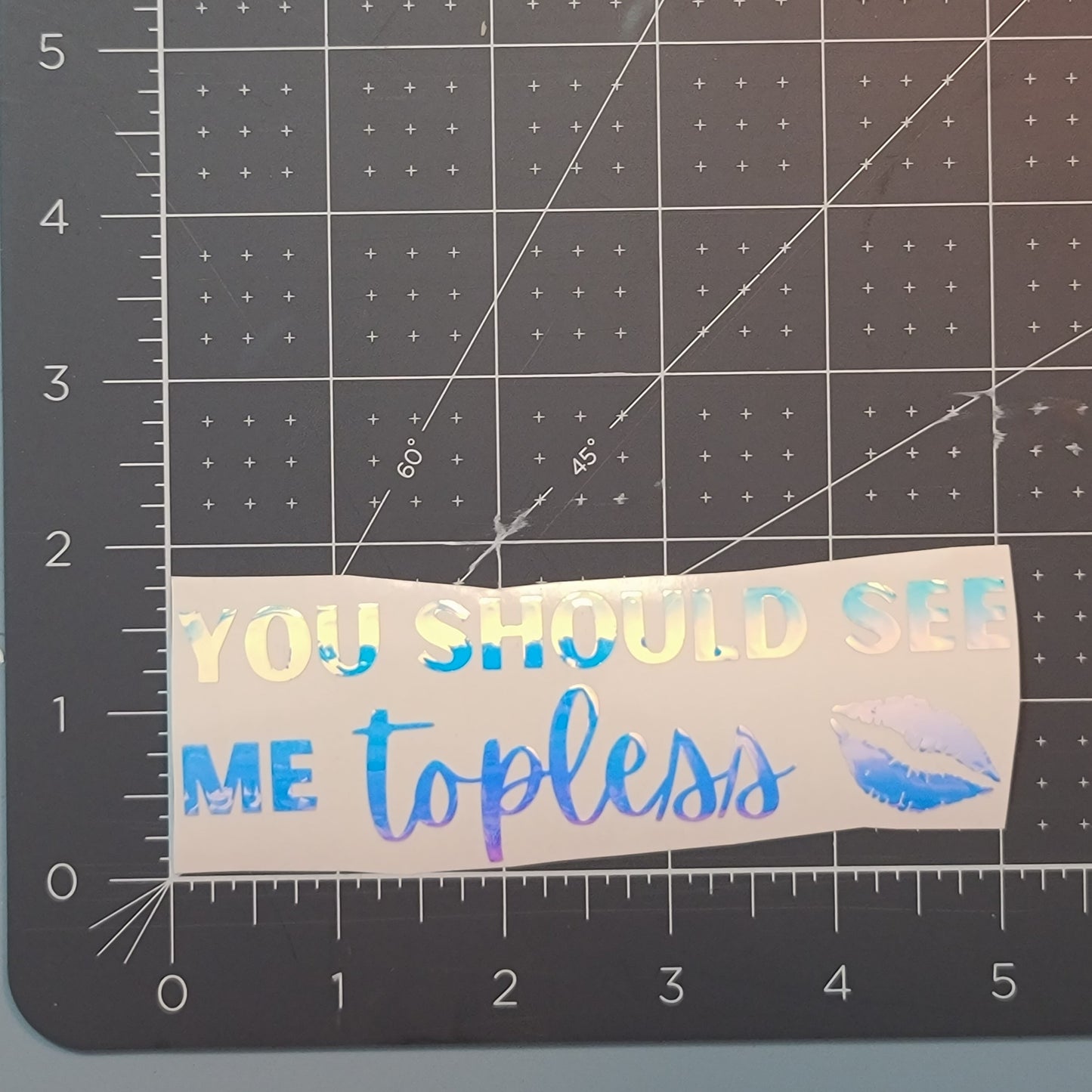 You Should See Me Topless Decal for JPs, 4x4s, Trucks, or Cars