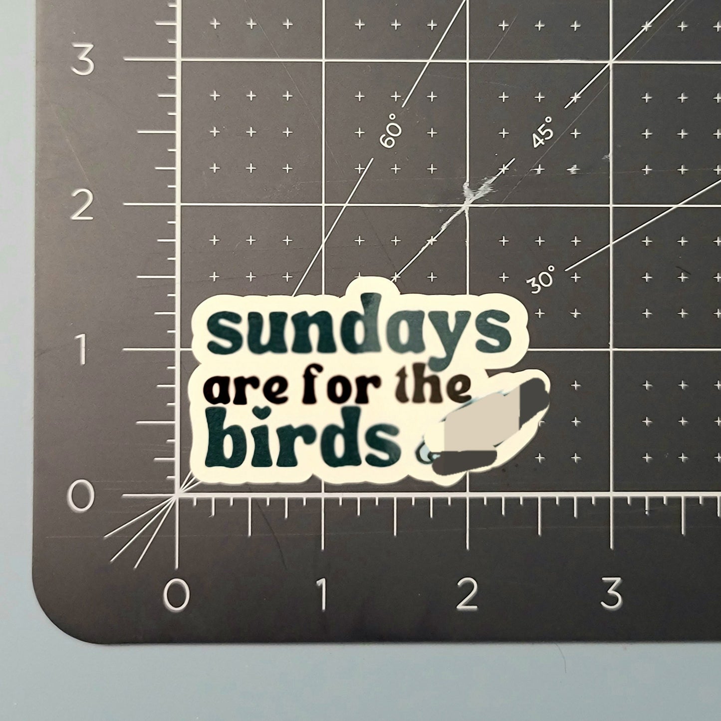Sundays are for The Birds Waterproof Sticker for Laptops, Water Bottles, Phones, Tablets, and More